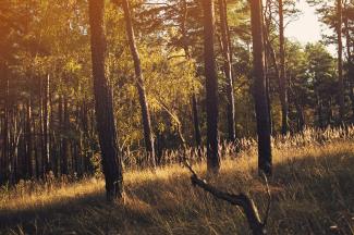 Photo by Mariam Soliman on Unsplash