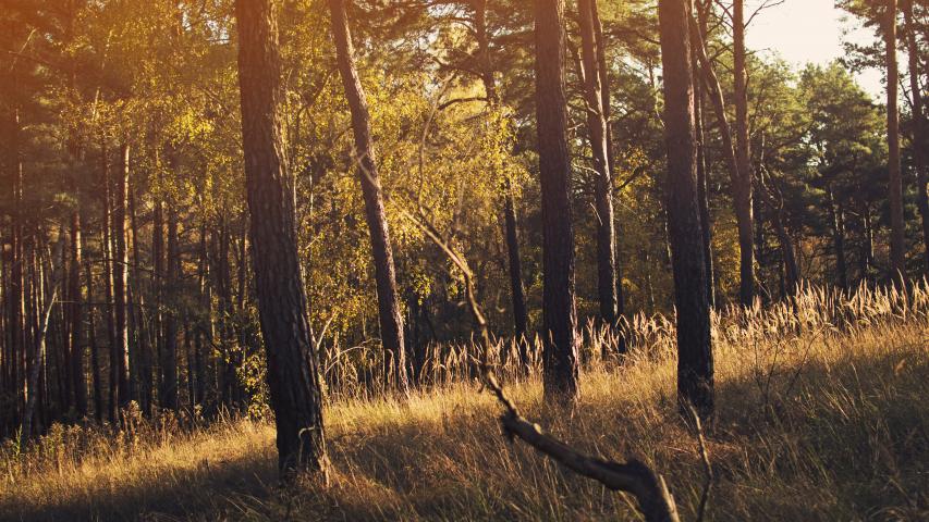 Photo by Mariam Soliman on Unsplash