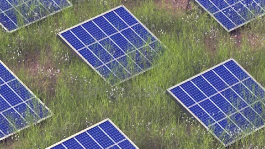 Spenden Photovoltaikanlage Gründach für den Neubau Vereinsheim